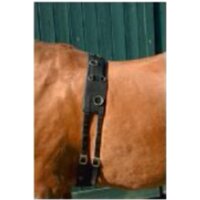 Neopren-Longiergurt WB | 85021/FS | Warmblut