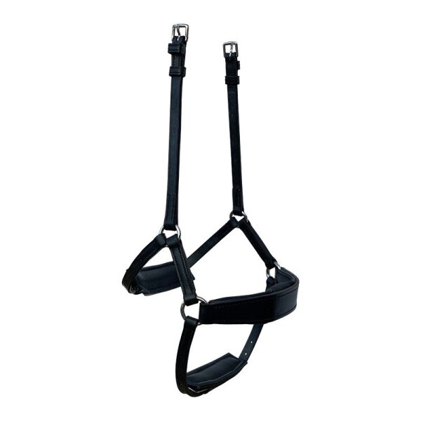Fairfax Drop Nasenband-Set | inkl. 2 Pads | Ersatzteil Trensenzaum