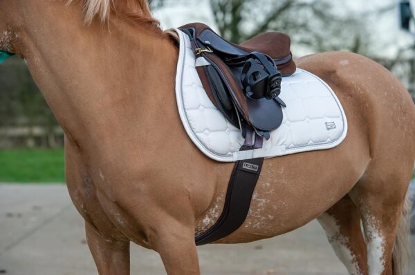 Prolite Langgurt Pony – druckreduzierend & wissenschaftlich getestet