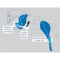 Prolite Langgurt Pony – druckreduzierend & wissenschaftlich getestet