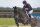 Fairfax World Class Jump XC – Monoflap Springsattel für Vielseitigkeit