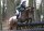 Fairfax World Class Jump – Dual Flap Springsattel in Foam oder Wolle
