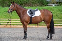 Kent & Masters Competition Jump – Springsattel mit veränderbaren Pauschen