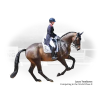 Fairfax World Class II Dressur – Monoflap mit neuem Knieblock