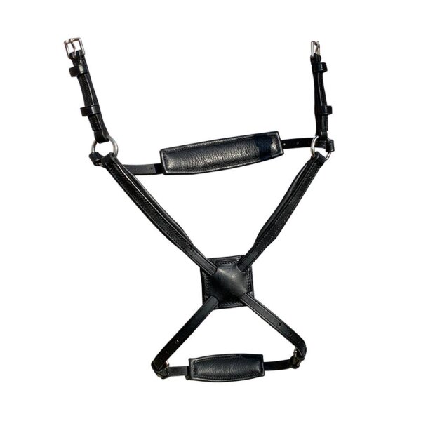 Fairfax Grackle Nasenband-Set | inkl. Pad & Chin Strap | Ersatzteil Trensenzaum