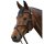 Fairfax Grackle Nasenband-Set | inkl. Pad & Chin Strap | Ersatzteil Trensenzaum