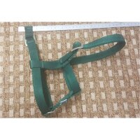 Nylonhalfter Mini-Fohlen | Grün | Leicht & robust